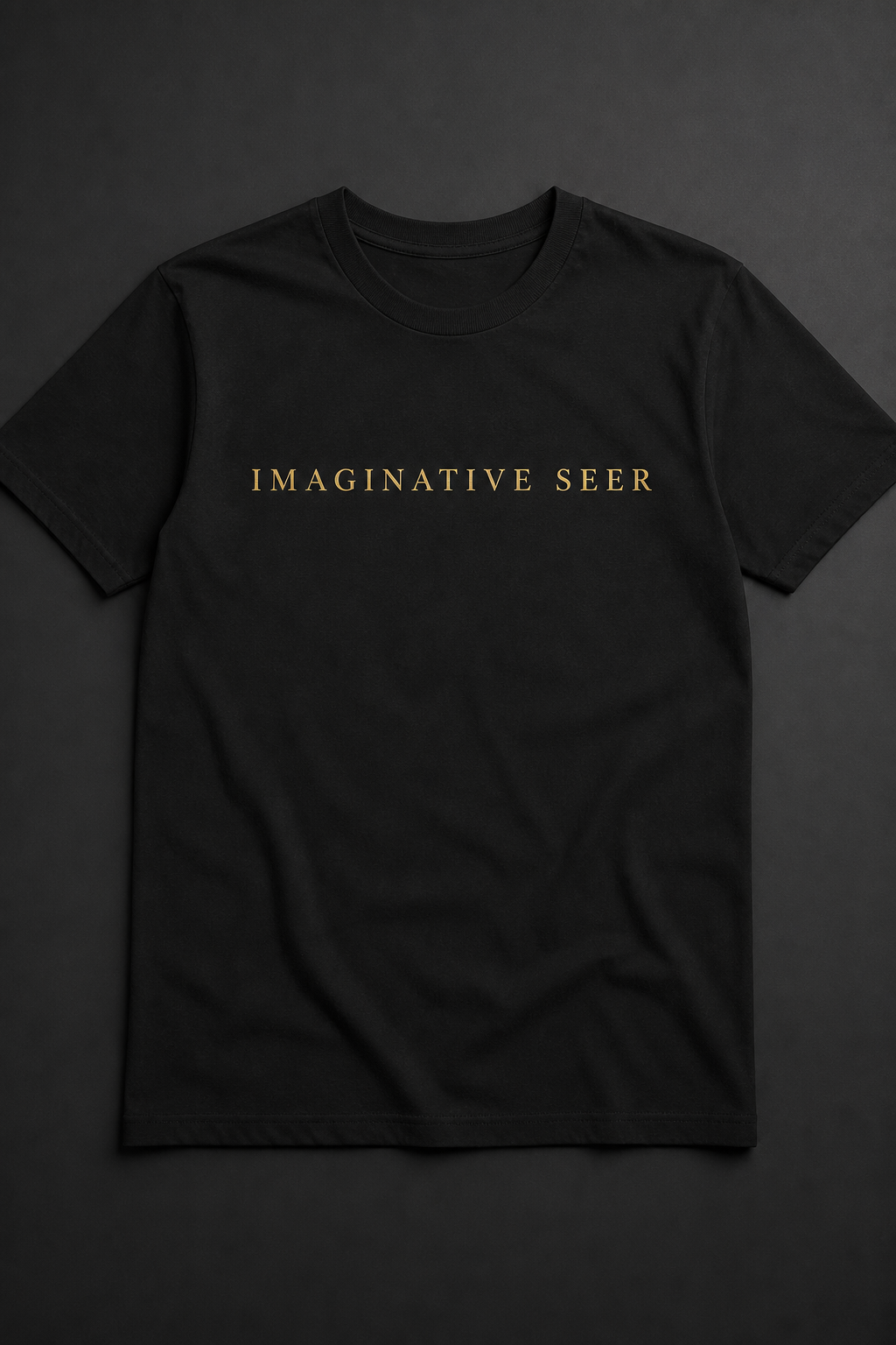 Imaginative Seer t-shirt